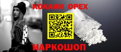 гидра Новодвинск