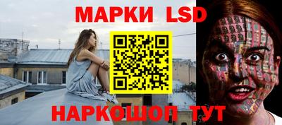 прущие грибы Новозыбков