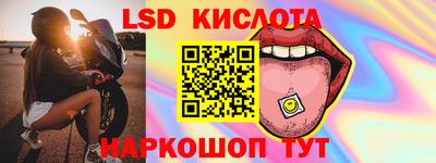 гидра Новодвинск