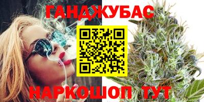 прущие грибы Новозыбков