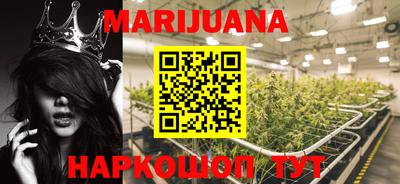гидра Новодвинск