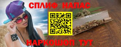 гидра Новодвинск