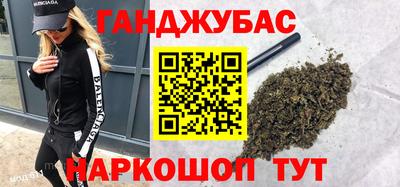 прущие грибы Новозыбков