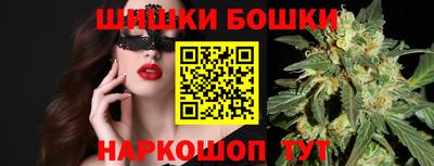 гидра Новодвинск
