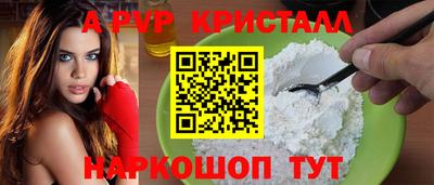 прущие грибы Новозыбков