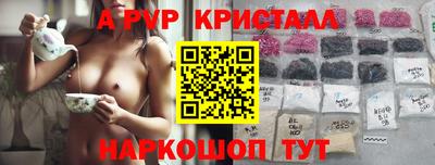 гидра Новодвинск