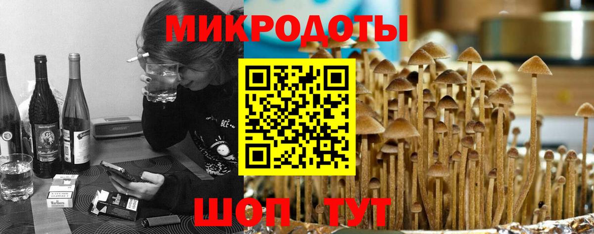 Галлюциногенные грибы мухоморы Ревда